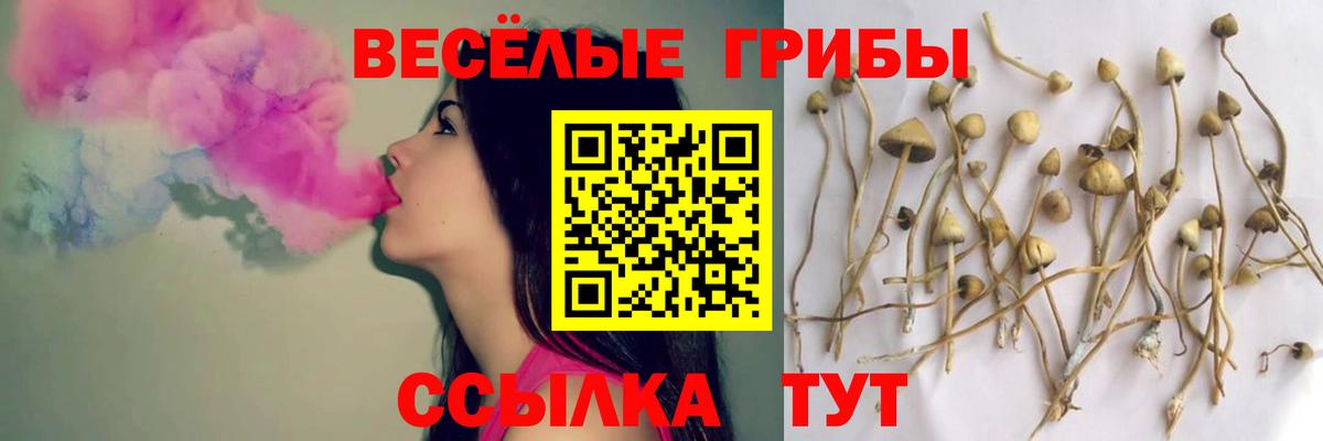 Галлюциногенные грибы MAGIC MUSHROOMS  Вход с VPN  Галлюциногенные грибы мухоморы  Брянск 